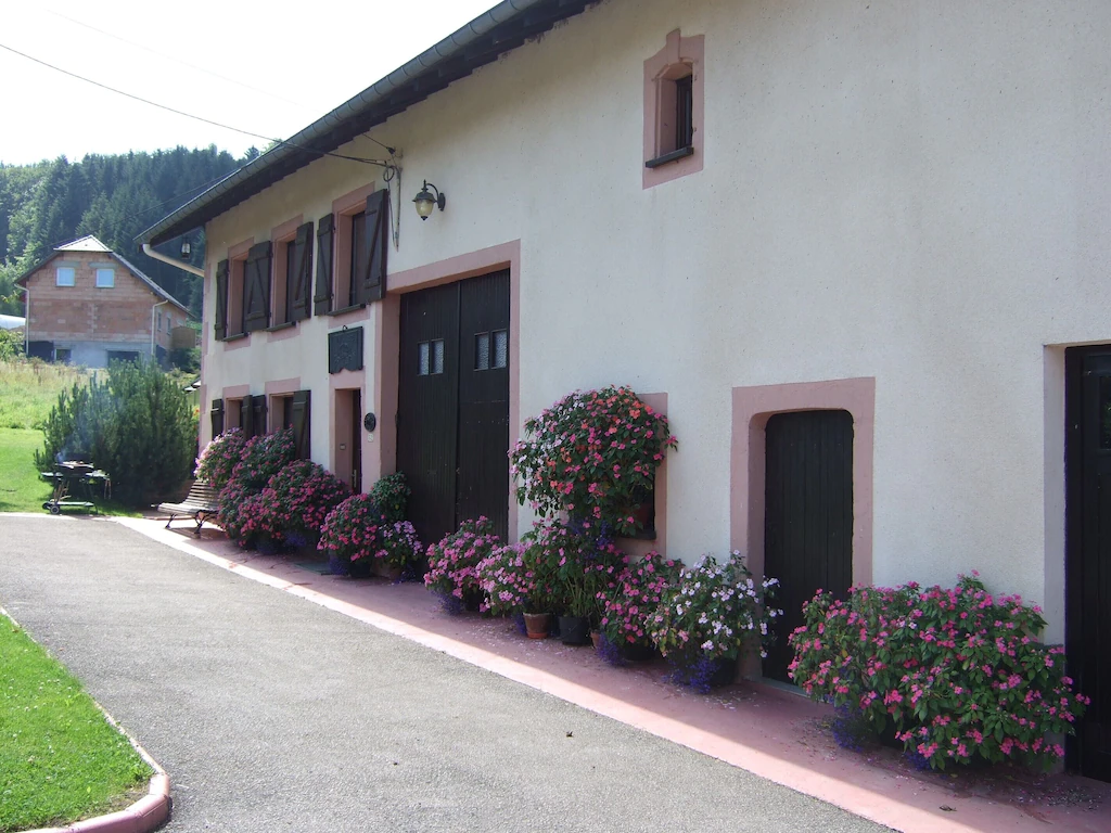 Gîte Vosges Fleurie