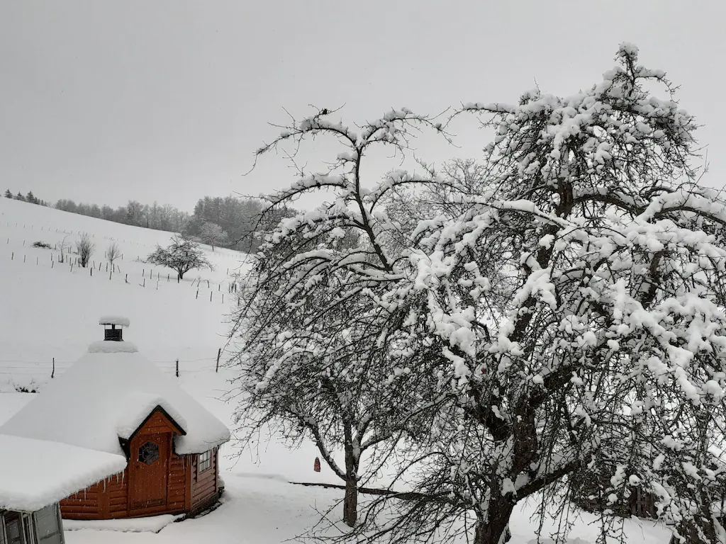 Gîte Vosges Fleurie